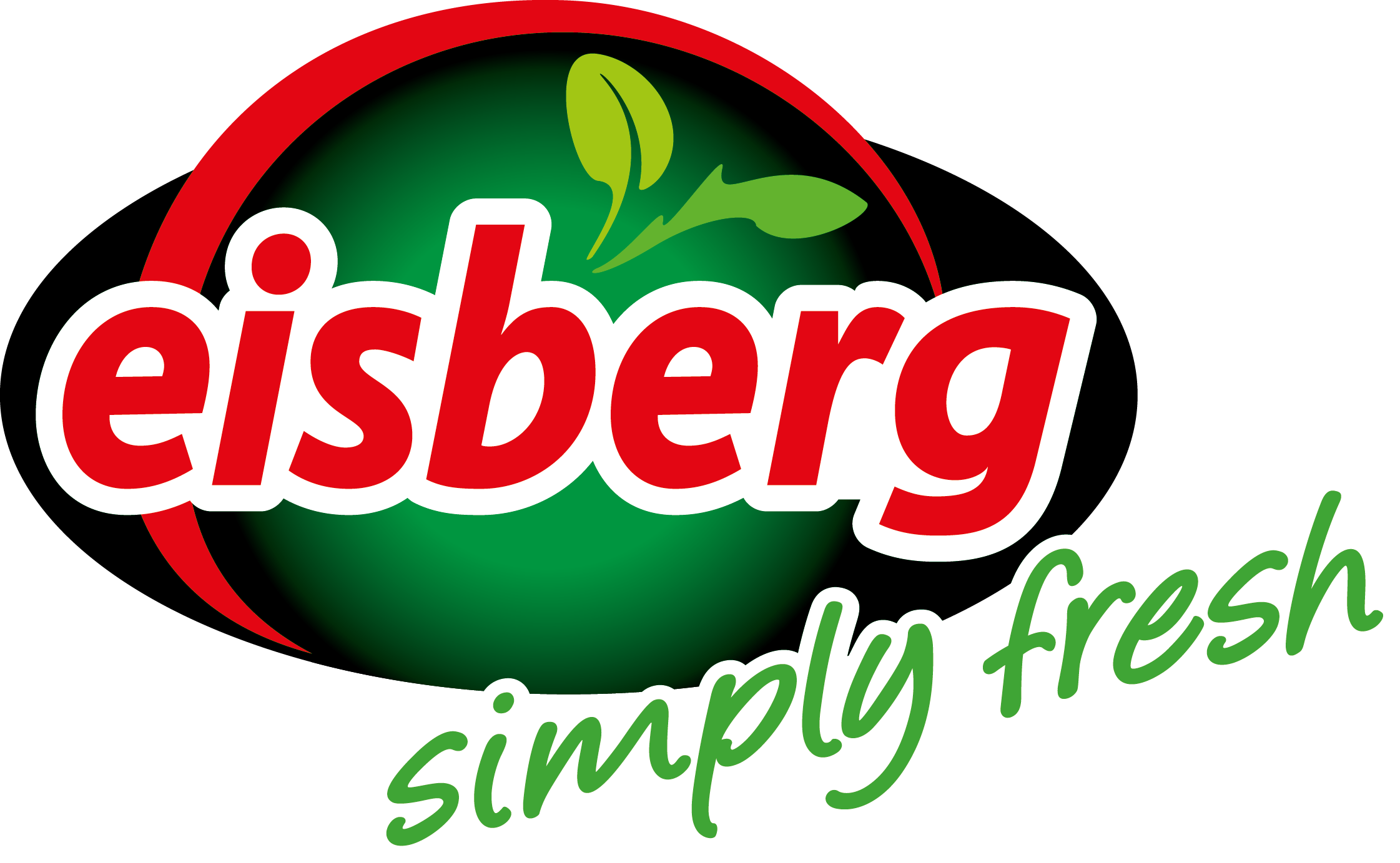Logo of Eisberg