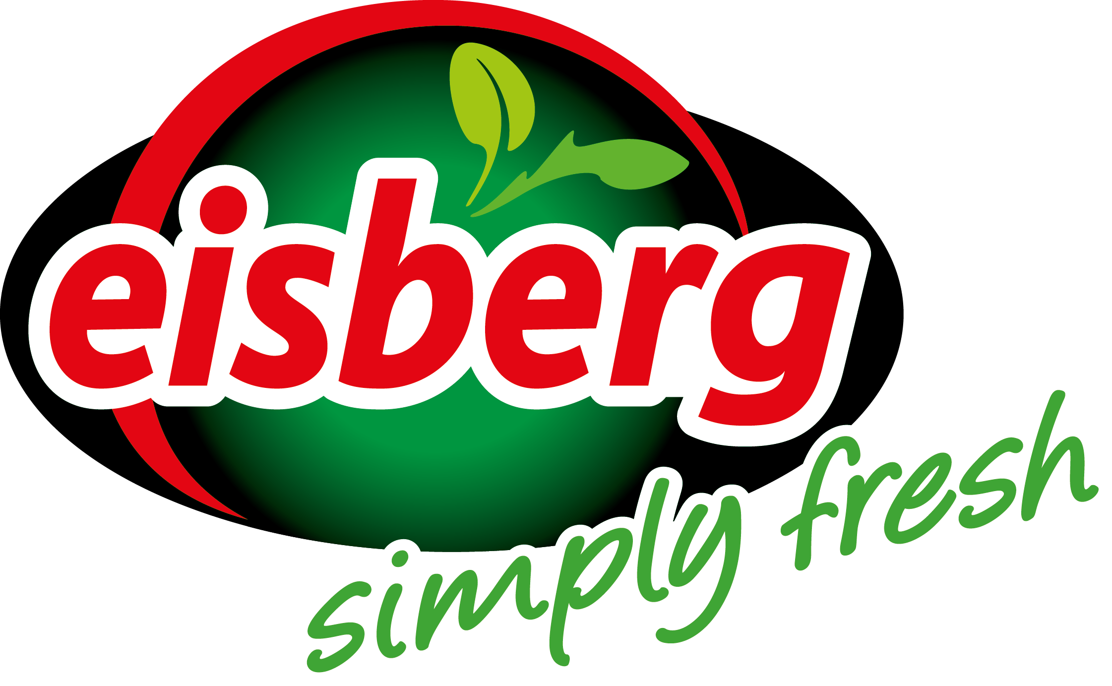 Logo de Eisberg