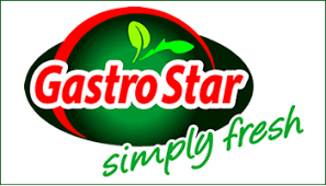 Logo aziendale di Gastro Star